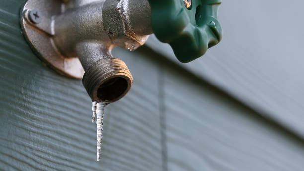 Best Pipe Repair Near Me  in Lliams Bay, WI